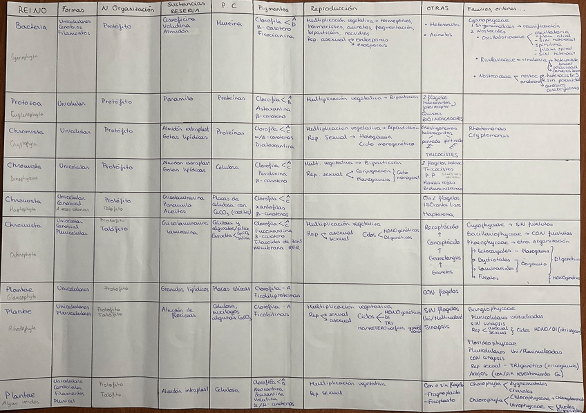 Miniatura del documento Tabla resumen algas.jpeg