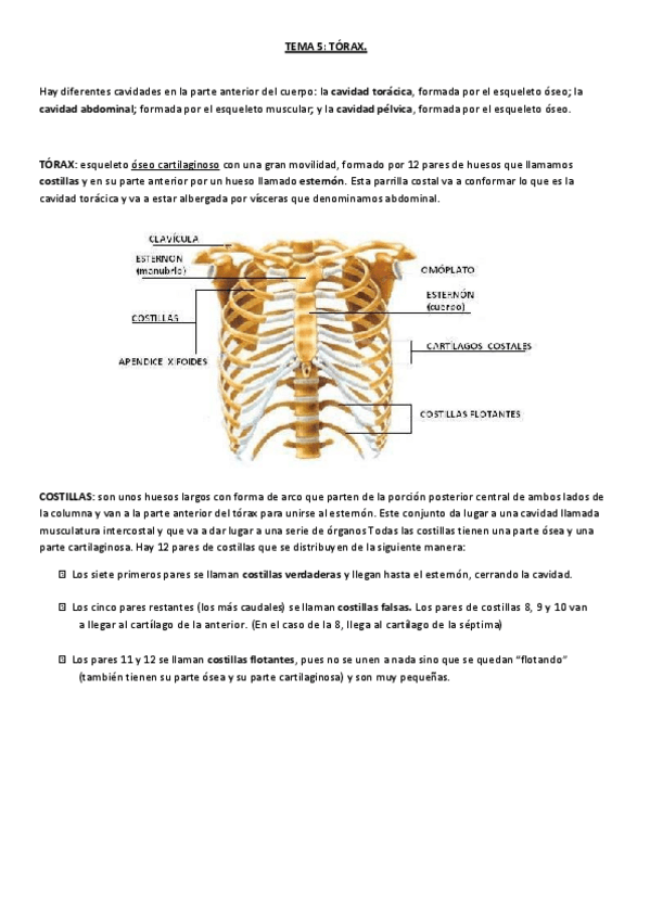 Miniatura del documento TEMA 5.pdf