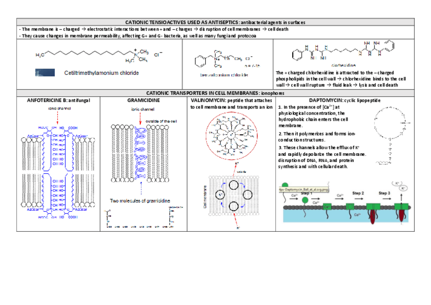 Miniatura del documento tabla-1.pdf
