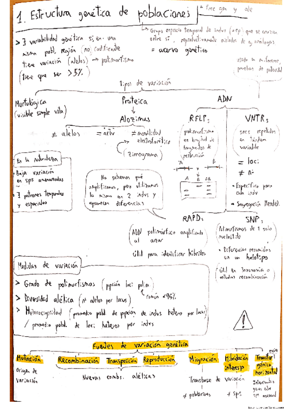 Miniatura del documento Genetica-I-completa-en-apuntes.pdf