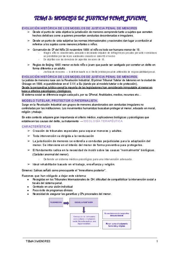 Miniatura del documento T3-SISTEMA-MENORES.pdf