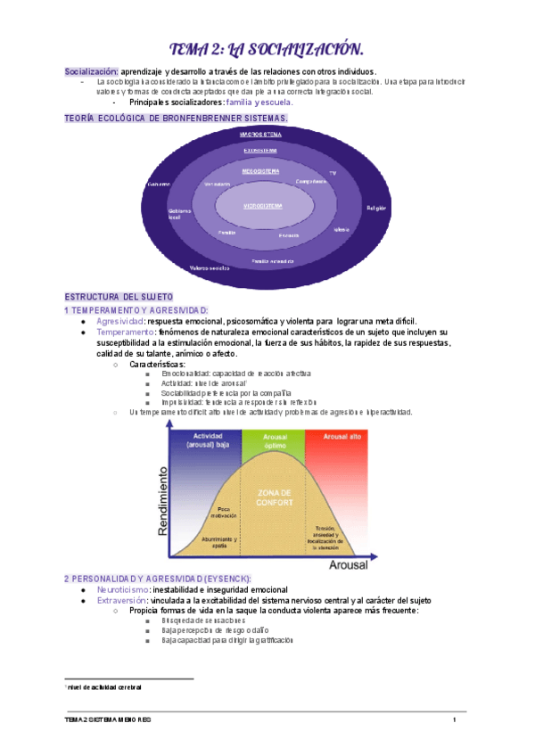 Miniatura del documento T2-SISTEMA-MENORES.pdf