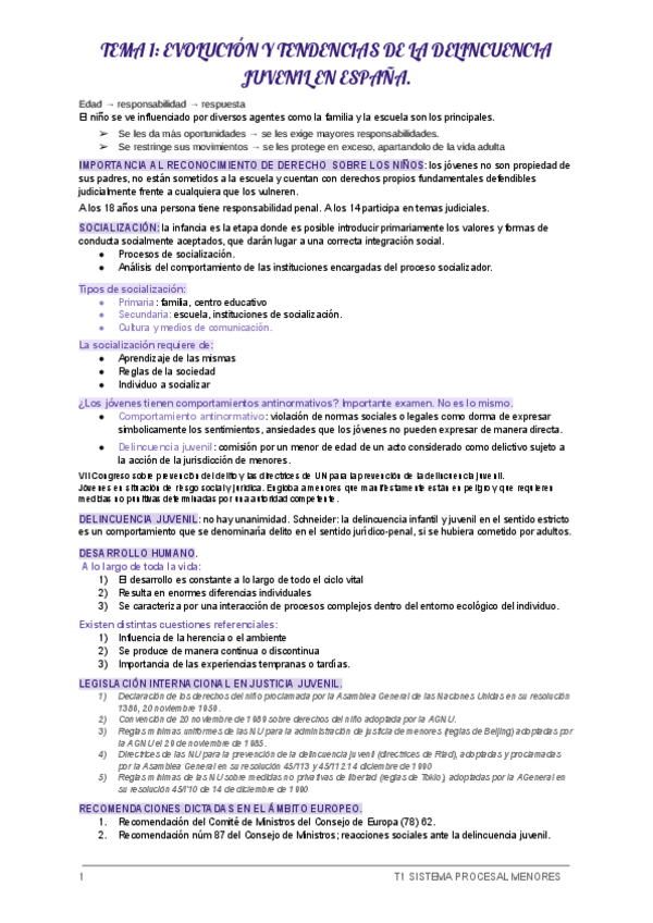 Miniatura del documento T1-SISTEMA-MENORES.pdf