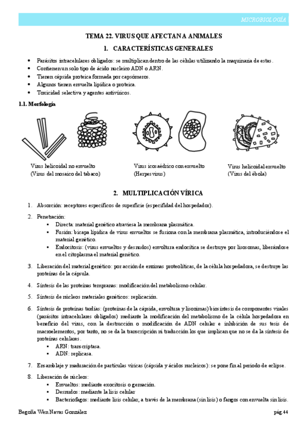 Miniatura del documento Tema-22.pdf
