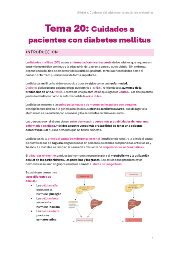 Miniatura del documento Tema-20.pdf