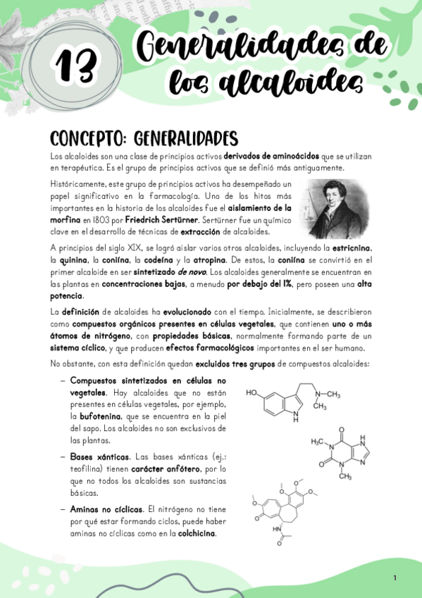 Miniatura del documento Tema-13.-Generalidades-de-los-alcaloides.pdf