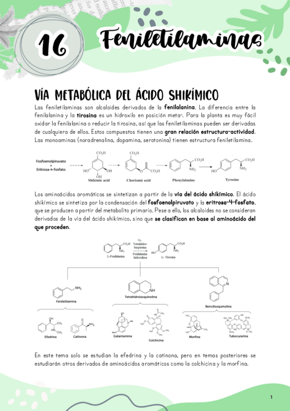 Miniatura del documento Tema-16.-Feniletilaminas.pdf