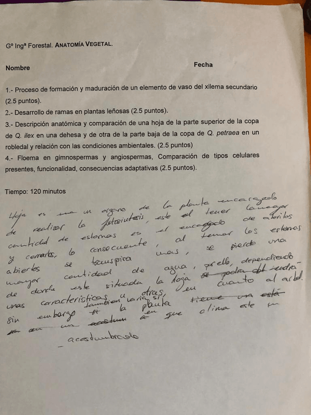 Miniatura del documento WhatsApp-Image-2024-01-16-at-20.47.25.jpeg