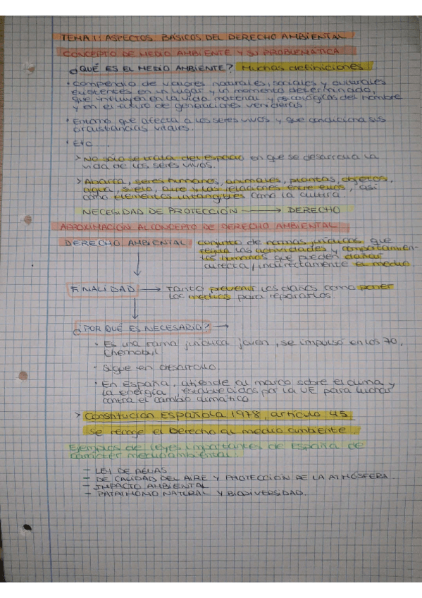Miniatura del documento TEMA-1-ASPECTOS-BASICOS-DE-DERECHO-AMBIENTAL.pdf