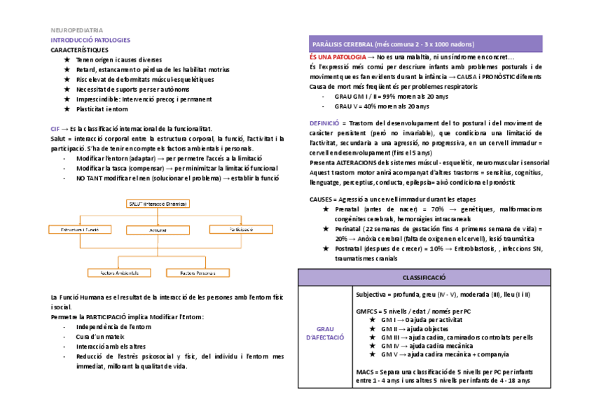 Miniatura del documento ESQUEMA-NEURO-PEDIATRIA.pdf