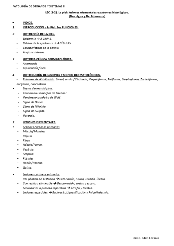 Miniatura del documento LEC-21-22.-La-piel.-Lesiones-elementales-y-patrones-histologicos..pdf