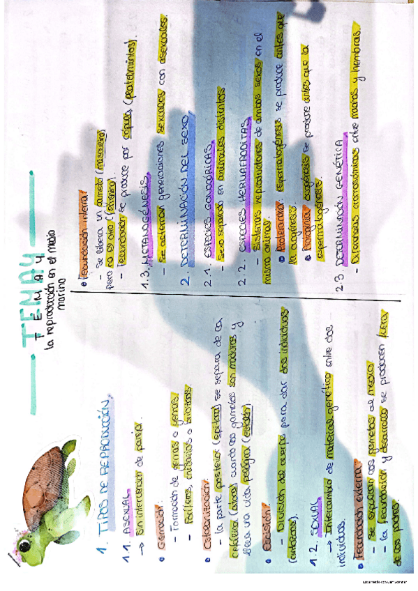 Miniatura del documento TEMA-4.pdf