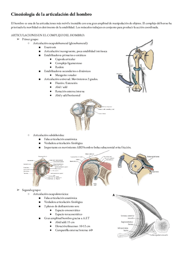 Miniatura del documento Biomecanica-T1-HOMBRO.pdf