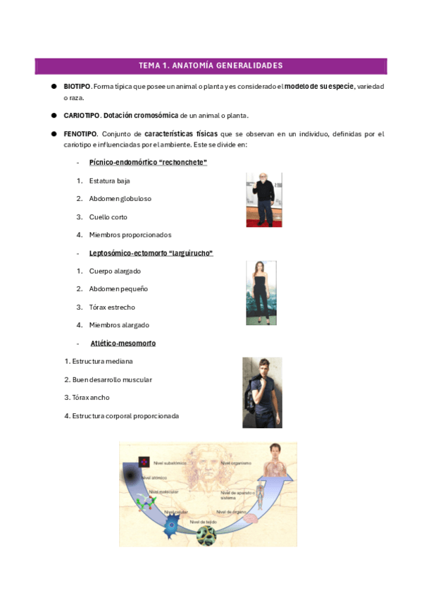 Miniatura del documento T1-ANATO-I-GENERALIDADES.pdf