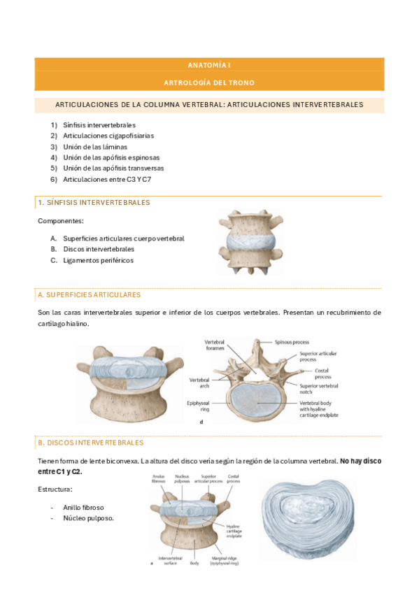 Miniatura del documento anatomia-i-tema-6.pdf