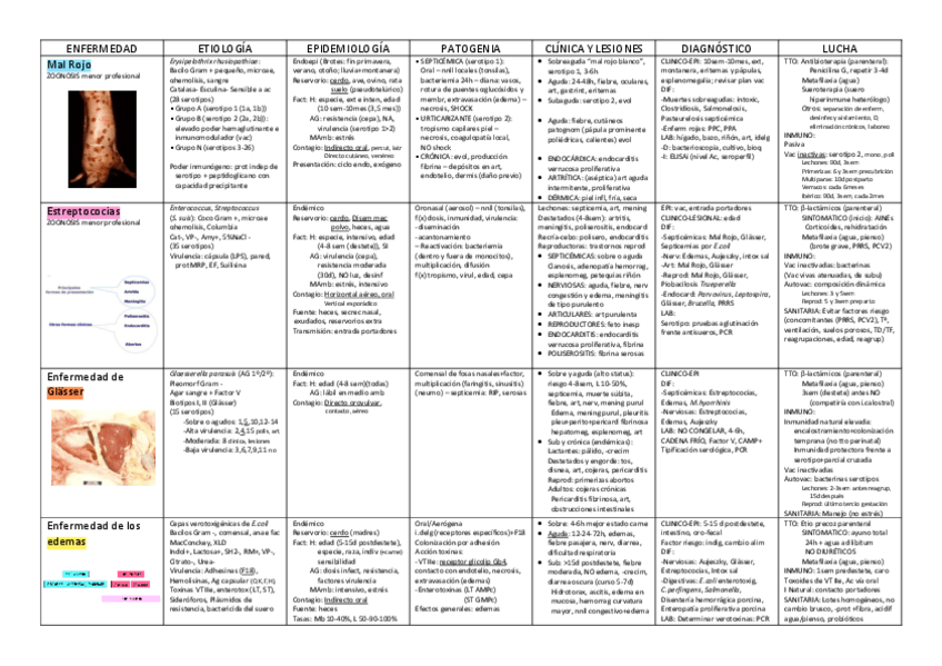 Miniatura del documento EEII2parcial.pdf