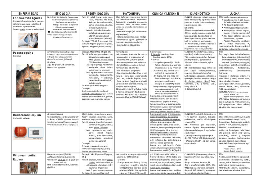 Miniatura del documento EEII3parcial.pdf