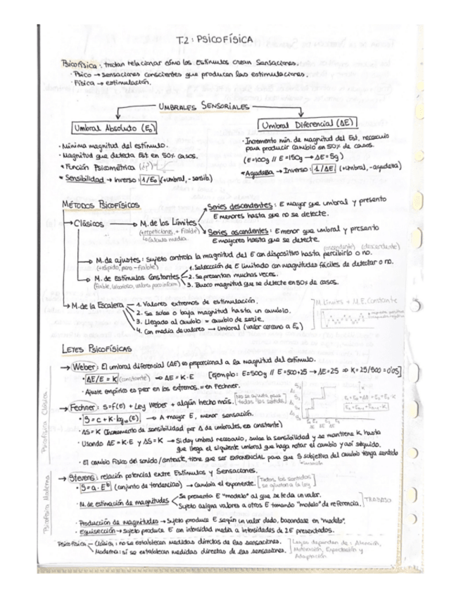 Miniatura del documento APUNTES-ENTEROS-PERCEPCION-Y-ATENCION.pdf