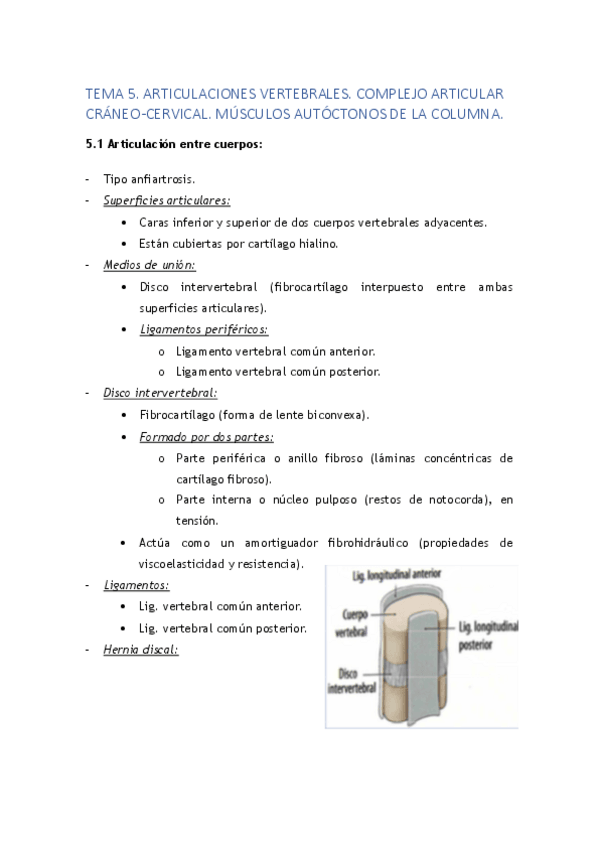 Miniatura del documento TEMA 5. ARTICULACIONES VERTEBRALES. COMPLEJO ARTICULAR CRÁNEO-CERVICAL. MÚSCULOS AUTÓCTONOS DE LA COLUMNA..pdf