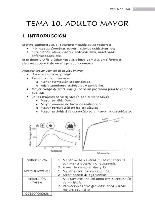Miniatura del documento TEMA-10-PAL.pdf