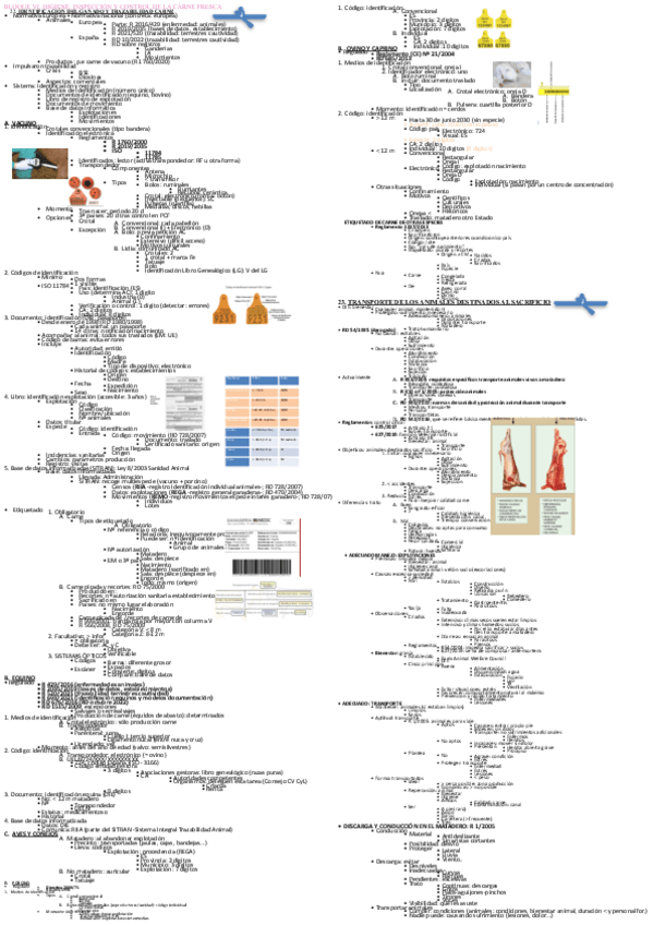 Miniatura del documento Mis-Apuntes-HISA-2oP.pdf