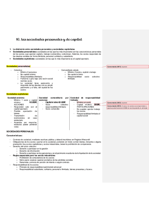 Miniatura del documento 10.-Las-sociedades-de-capital.pdf