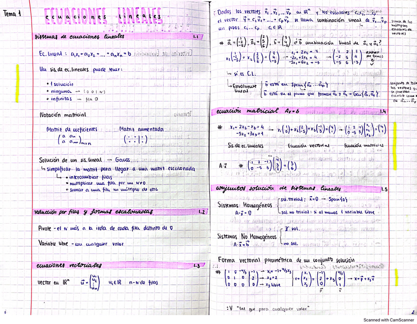 Miniatura del documento APUNTES COMPLETOS ALGEBRA LINEAL.pdf