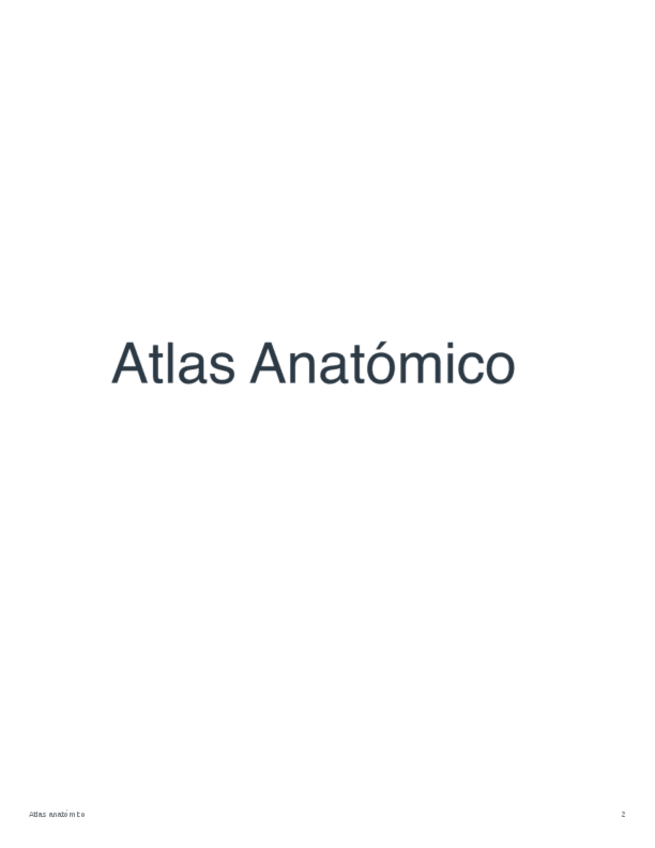 Miniatura del documento Atlas-anatomico.pdf
