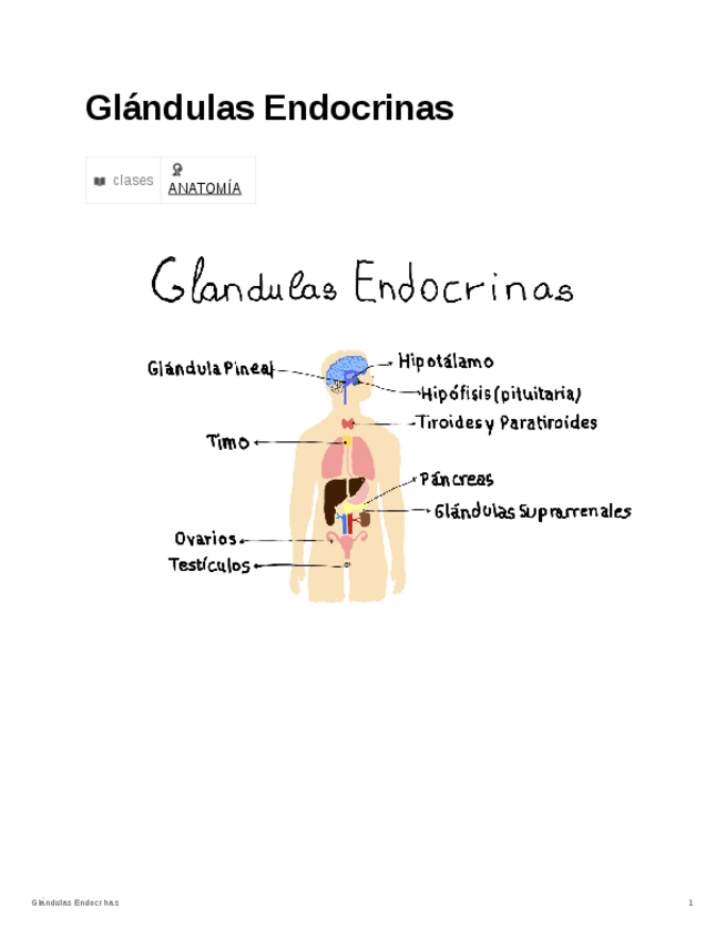 Miniatura del documento Glandulas-Endocrinas.pdf