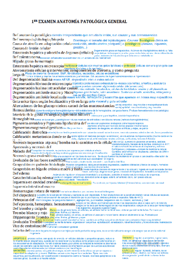 Miniatura del documento Preguntas-con-respuestas-examen-1er-parcial.pdf