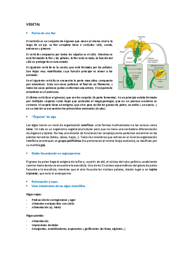 Miniatura del documento Preguntas-Examen-Vegetal.pdf