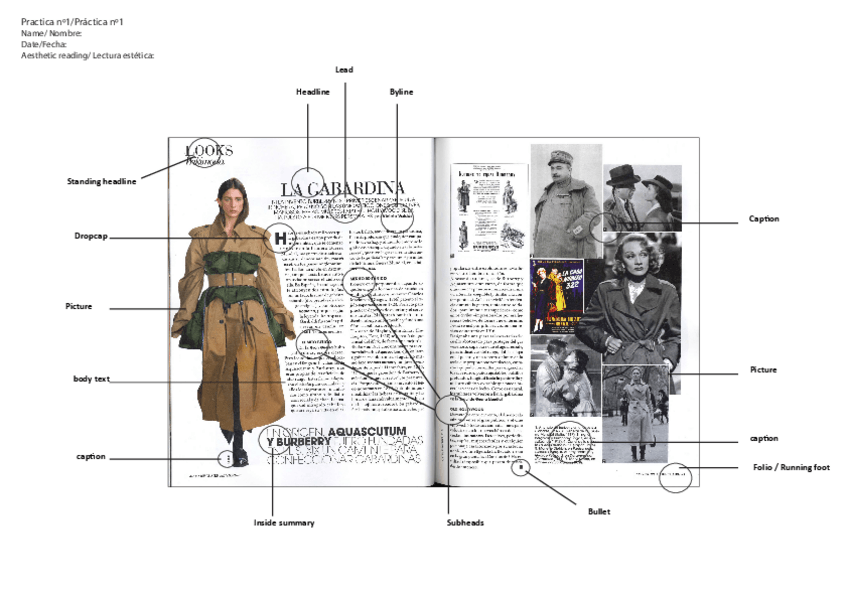 Miniatura del documento AESTHETIC PRACTICE.pdf