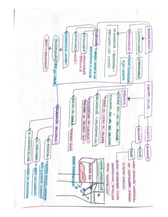 Miniatura del documento DIGESTIU.pdf