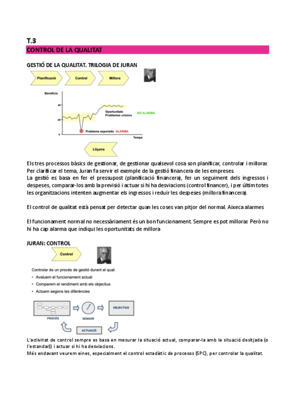 Miniatura del documento T.3-control-qualitat.pdf