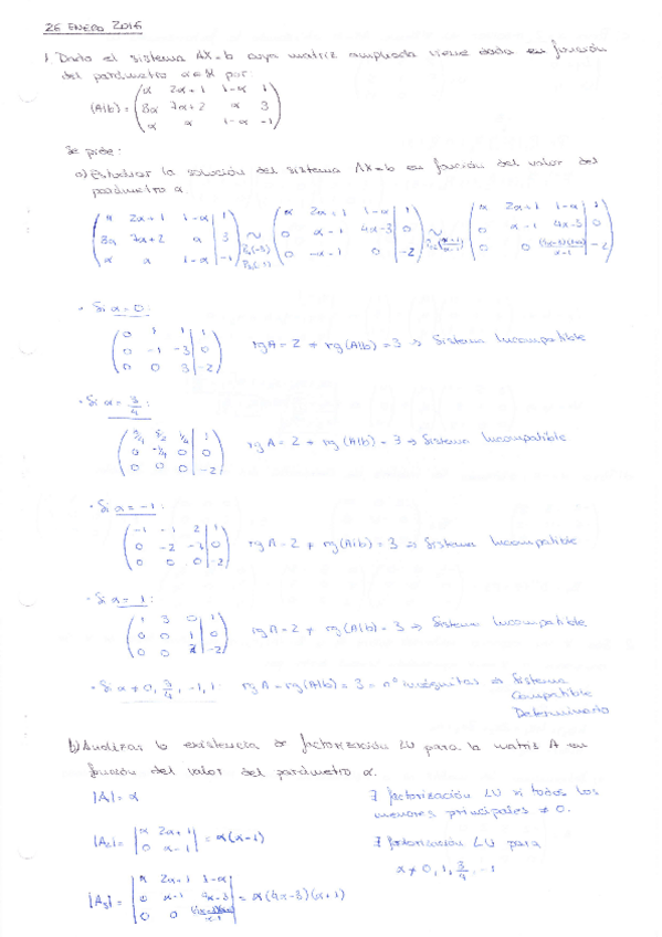 Miniatura del documento SolExamen Enero 2016.pdf