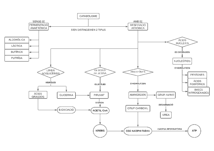 Miniatura del documento MET-2.pdf