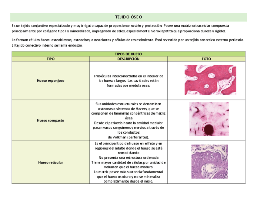 Miniatura del documento tipos-de-hueso.pdf