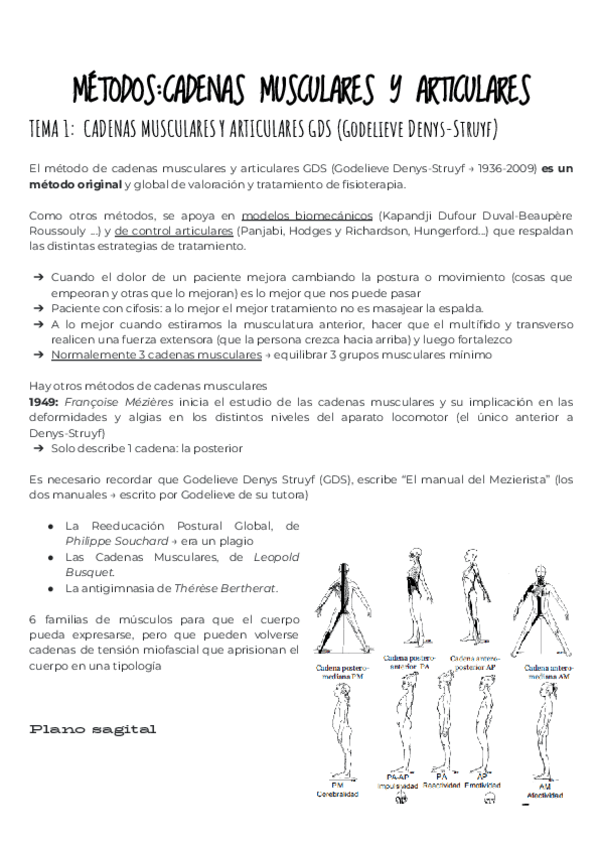 Miniatura del documento METODOS-CADENAS-MUSCULARES-T1-T5.pdf