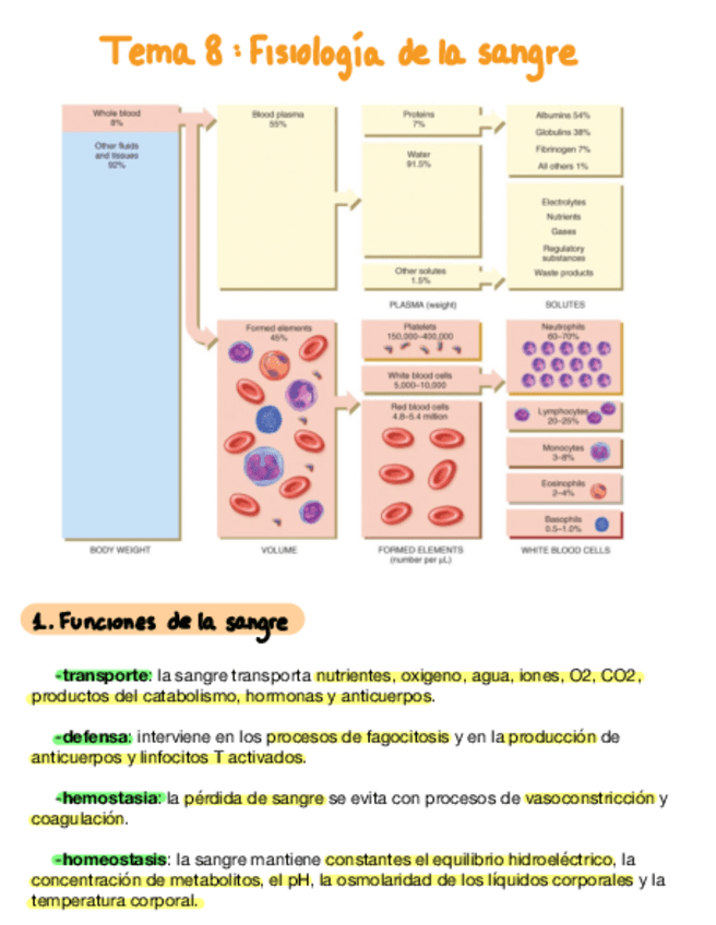 Miniatura del documento Tema-8-Fisiologia-De-La-Sangre.pdf