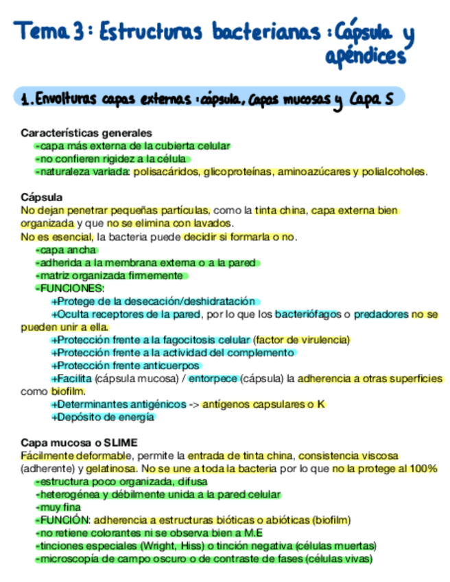 Miniatura del documento Tema-3.2-Estructuras-Bacterianas-Capsula-Y-Apendices.pdf
