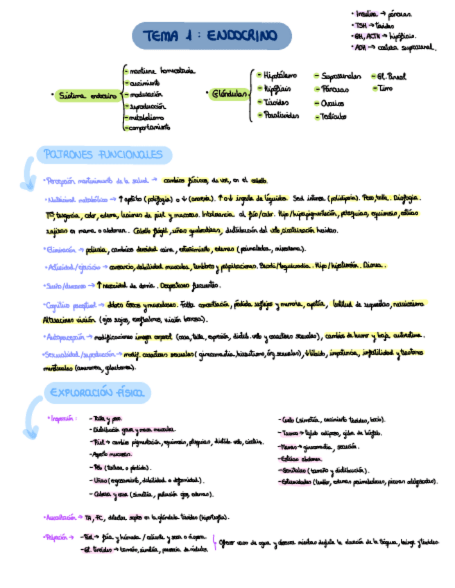 Miniatura del documento Endocrino.pdf