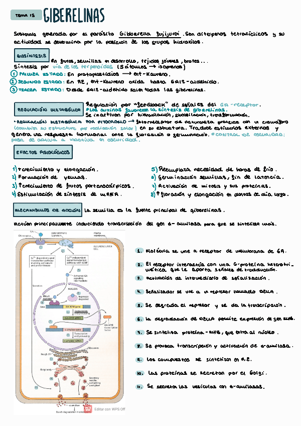 Miniatura del documento FEV-TEMA-15.pdf