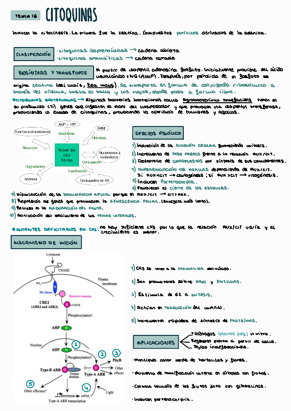 Miniatura del documento FEV-TEMA-16.pdf
