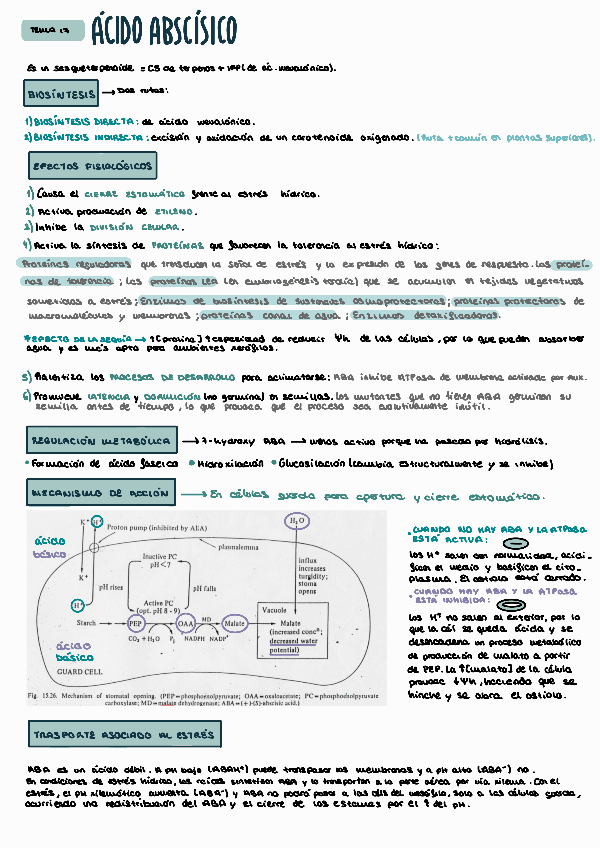 Miniatura del documento FEV-TEMA-17.pdf