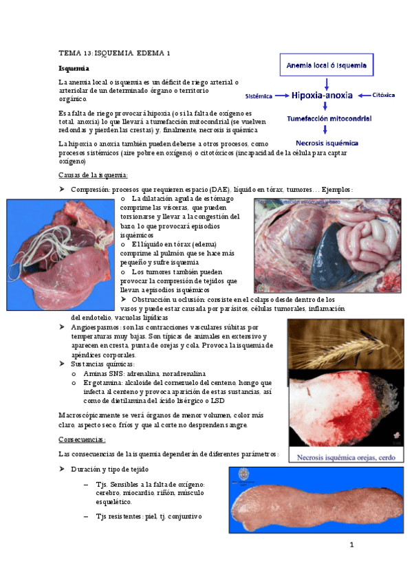 Miniatura del documento APG-T12-17.pdf