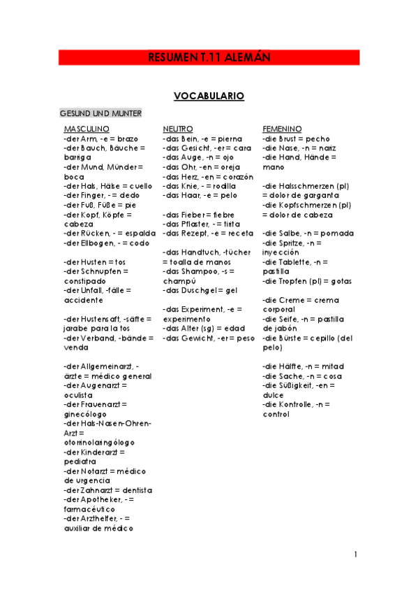 Miniatura del documento RESUMEN-T.11-aleman.pdf