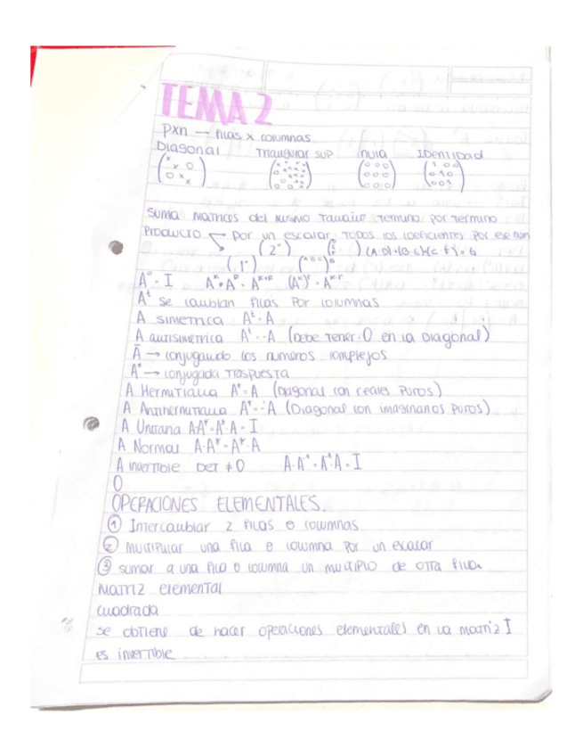 Miniatura del documento Tema-2.pdf