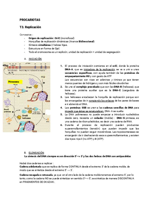 Miniatura del documento Resumen-procesos-mas-importantes.pdf