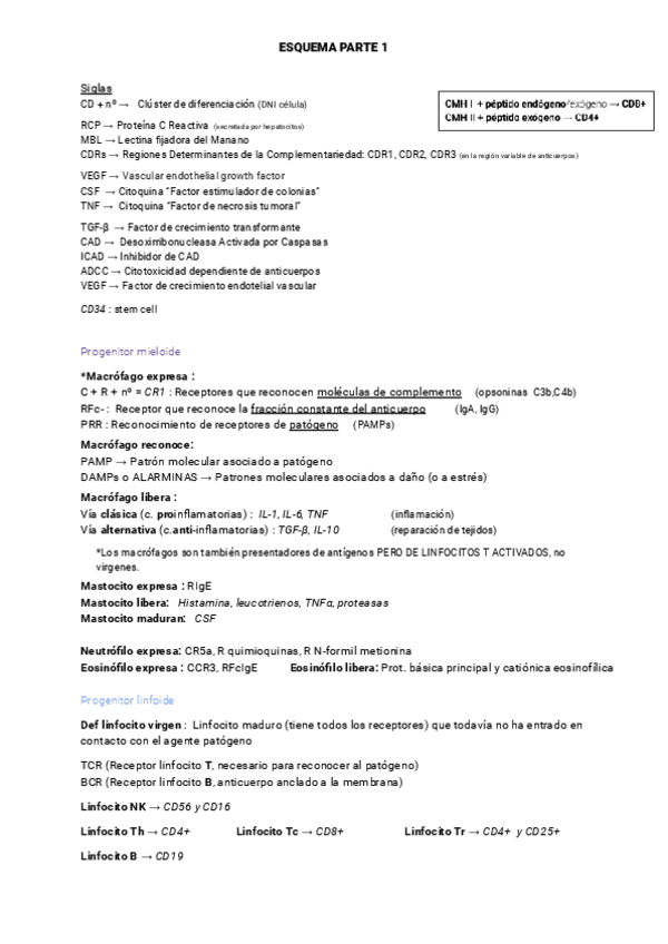 Miniatura del documento RESUMEN-CLAVE-CONCEPTOS-TEST.pdf