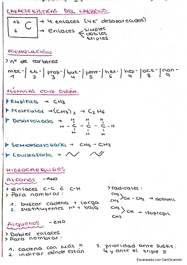 Miniatura del documento LA-QUIMICA-DEL-CARBONO.pdf